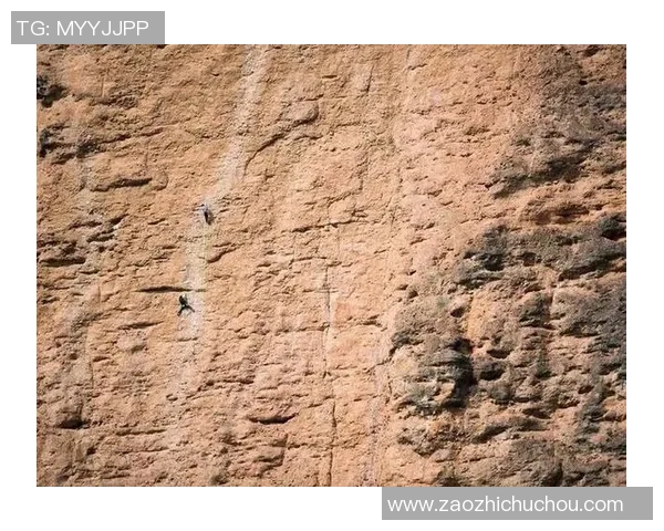 南京攀岩队耐力对比分析揭示训练方法与成绩之间的关系